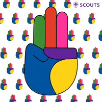 guiding girl scout GIF by World Scouting
