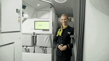 cabin crew business GIF by airBaltic