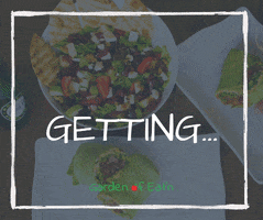 lunch catering GIF