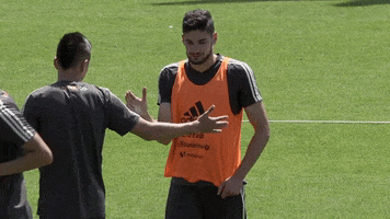 saludo GIF by MiSelecciónMX