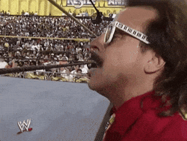 wrestlemania ix wrestling GIF by WWE