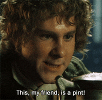lord of the rings lol pippin GIF by Maudit