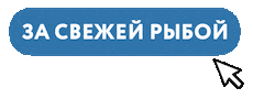 Устрицы Sticker by KingfisherKZ