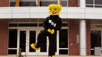 excited ncaa sports GIF by Wichita State University