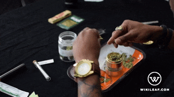 Weed Marijuana GIF by Wikileaf.com