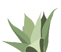 Sticker by Flower Farm