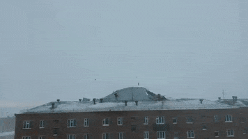 annalisichkina  GIF