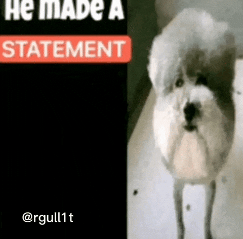 Statement GIF