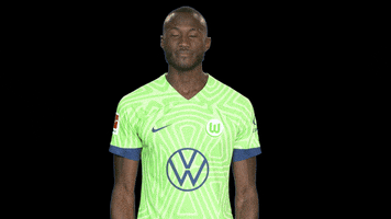 Lets Go Bundesliga GIF by VfL Wolfsburg
