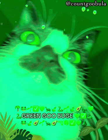 St Patricks Day Cat GIF