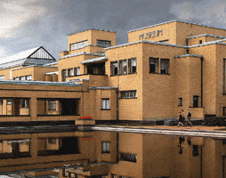 GIF by Playground Brand Activation