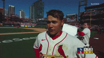 St Louis Cardinals Win GIF by MLB