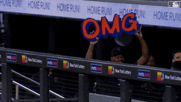 Celebration Omg GIF by New York Mets