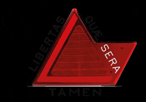 GIF by Lanternas Pradolux