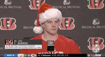 Merry Christmas Football GIF by NFL