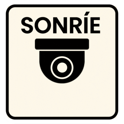 Camera GIF by Zapping_CH