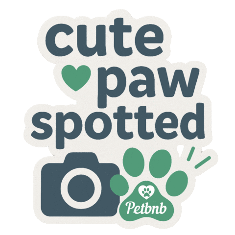 Cat Dog Sticker by petbnb