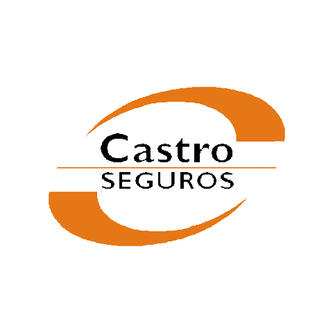 Castro Seguros Sticker