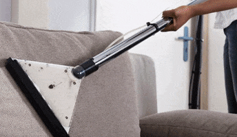 Upholstery Cleaning Cranbury Nj GIF