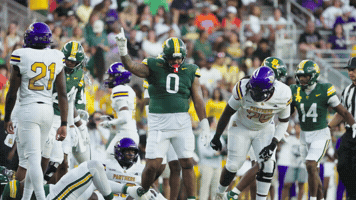 Baylor Bears Bu GIF by Baylor Athletics