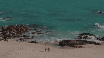 Mexico Beach GIF by Switzerfilm