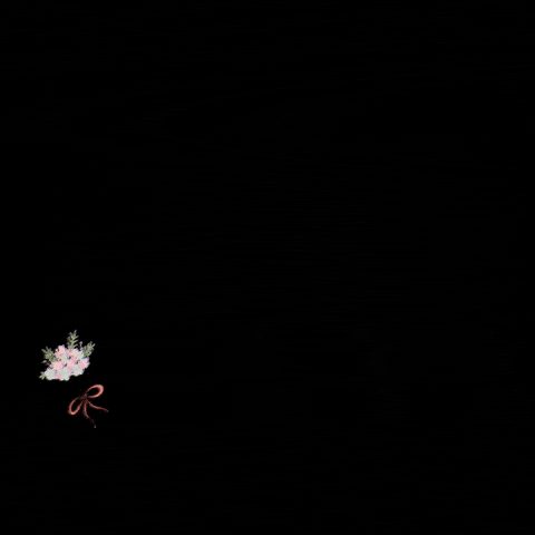 Uzual Calçados GIF