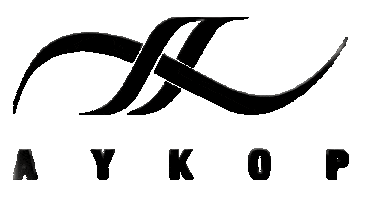 Aykop Sticker