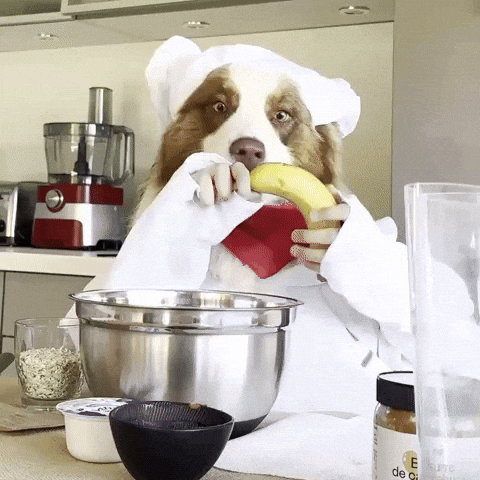 Dog Cook GIF