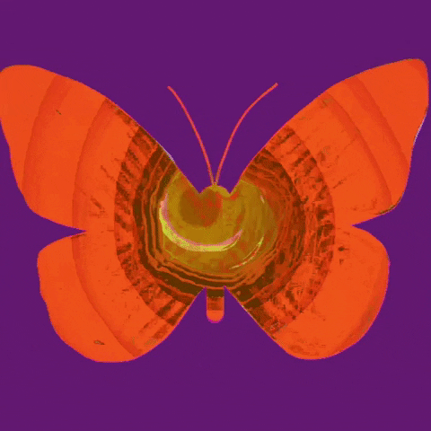Butterfly GIF by Barbara Pozzi