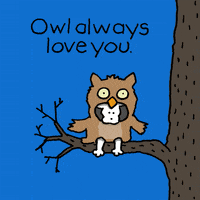 I Love You Owl GIF by Chippy the Dog