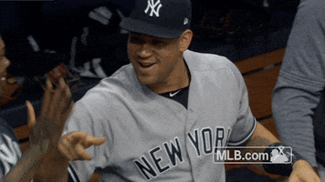 High Five New York Yankees GIF by MLB