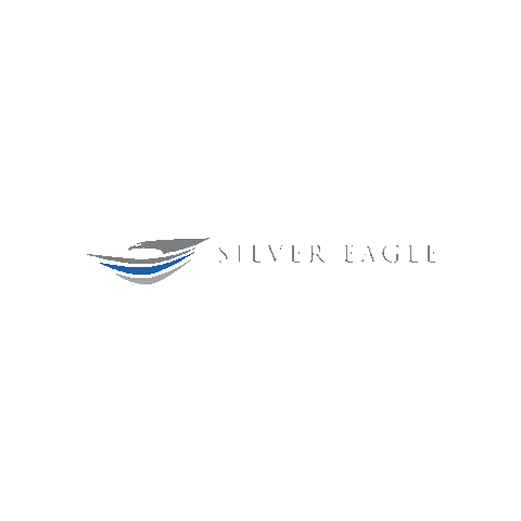 Silver Eagle Houston Sticker