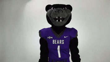 bears facepalm GIF by University of Central Arkansas