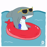 Shark Week Summer