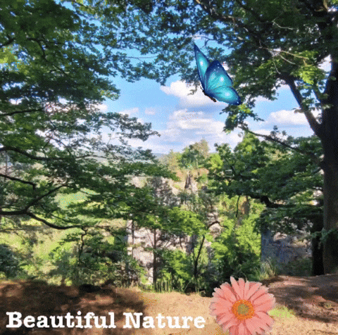 Nature GIF