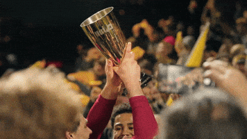 Celebration GIF by Pittsburgh Riverhounds SC