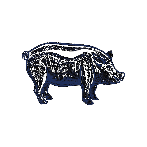 City of Kennesaw Sticker