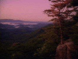 Tv Show GIF