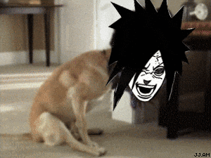 Qual assinatura mais FEIA do fórum? Giphy.gif?cid=ecf05e477bfc2a2e62c43e7c1377ccd1a0613626b8c6ff12&rid=giphy
