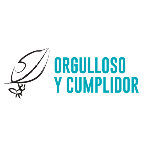 Autopasion Sticker by Grupo AutoPasión