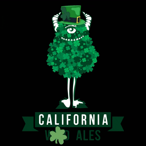 San Diego Irish GIF by californiawildales