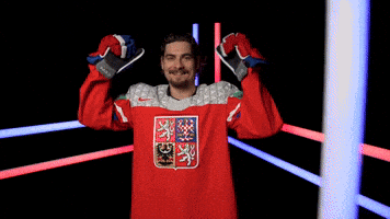 Český hokej GIF
