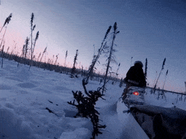 Season 8 Snow GIF by National Geographic Channel
