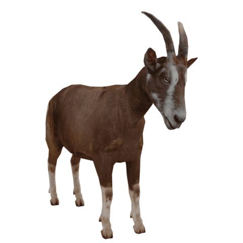 Goat Sticker