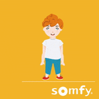 Redhead Toll GIF by Somfy