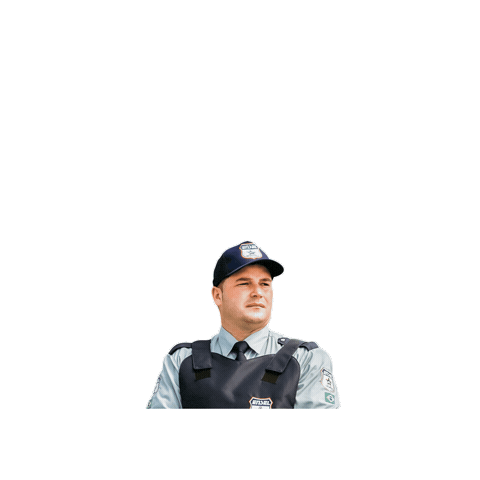 enselvigilancia Sticker