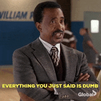 you're dumb tim meadows GIF by globaltv