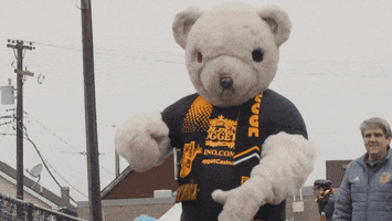 Bear Mascot GIF by Detroit City FC