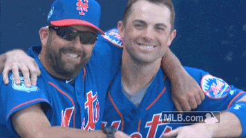 new york mets wave GIF by MLB