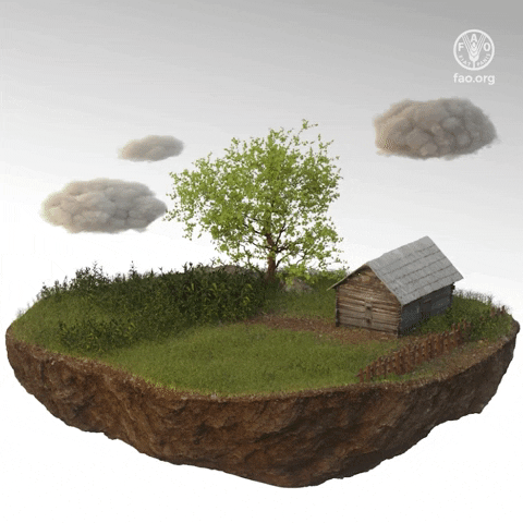 Disasters GIF by FAO